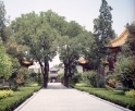 gardens, Xian China 8